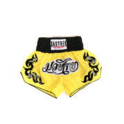 Ampex's No-Gi Training Shorts - Image 3