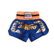 Ampex's No-Gi Training Shorts
